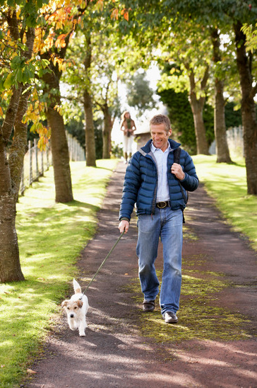 Exercise - dog walking